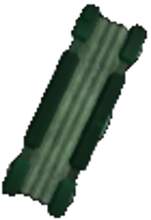 Ancient Book