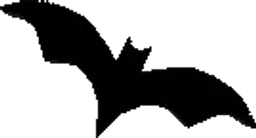 Bat