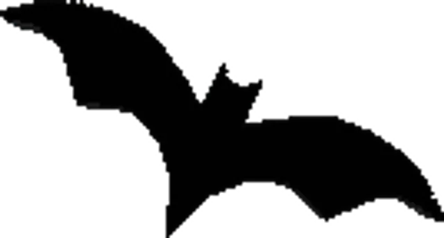 Bat
