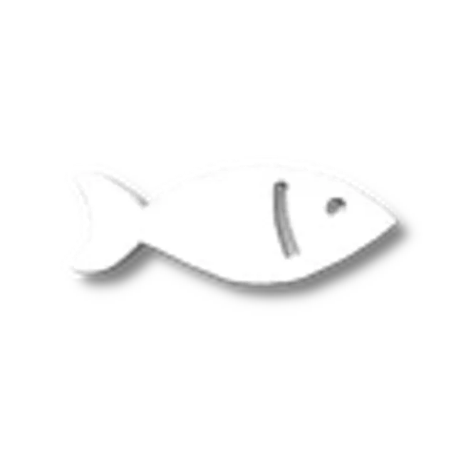 Fisch Bobber