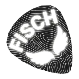 Guitar Pick