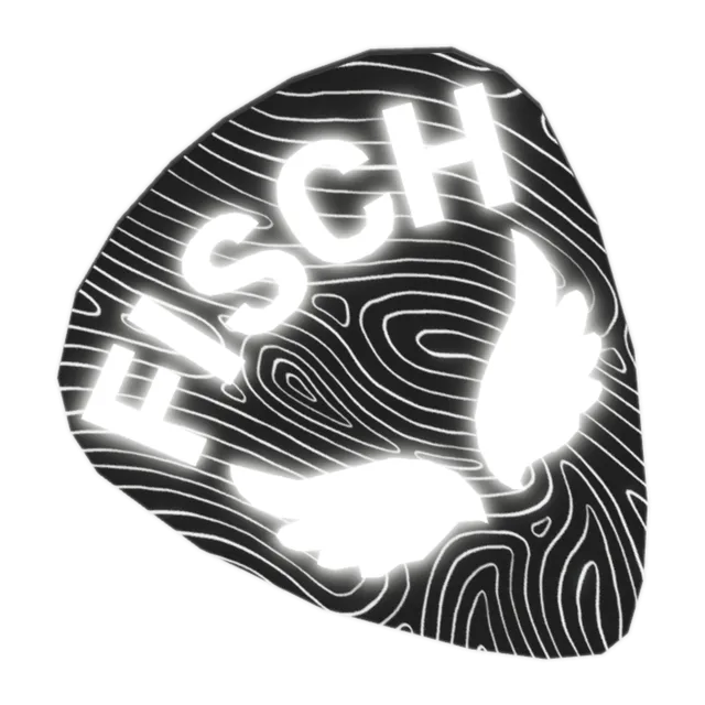 Guitar Pick