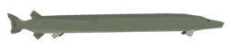Long Pike