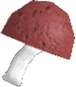 Mushroom