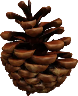 Pinecone Bobber