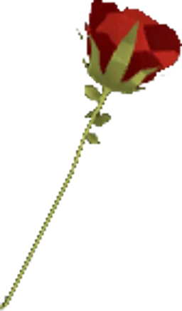 Red Rose