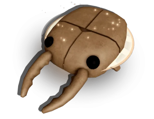 Tubert Beetle