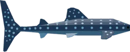 Whale Shark Boat