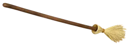 Witch's Broom