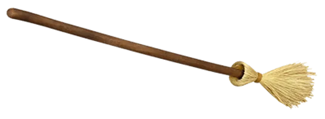 Witch's Broom